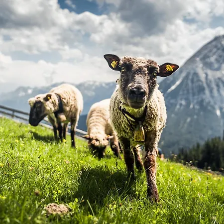 Seefeld Alpin - Rustikales Tiroler Apartmán Seefeld in Tirol