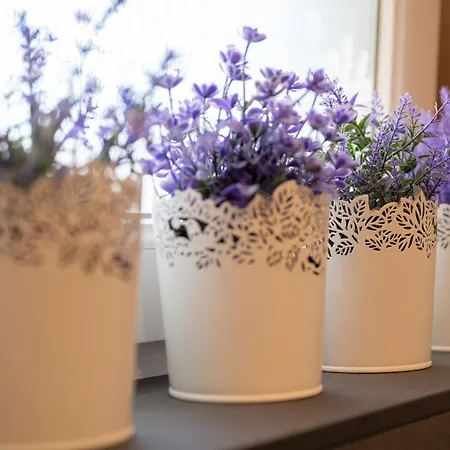 Seefeld Alpin - Rustikales Tiroler Apartmán Seefeld in Tirol