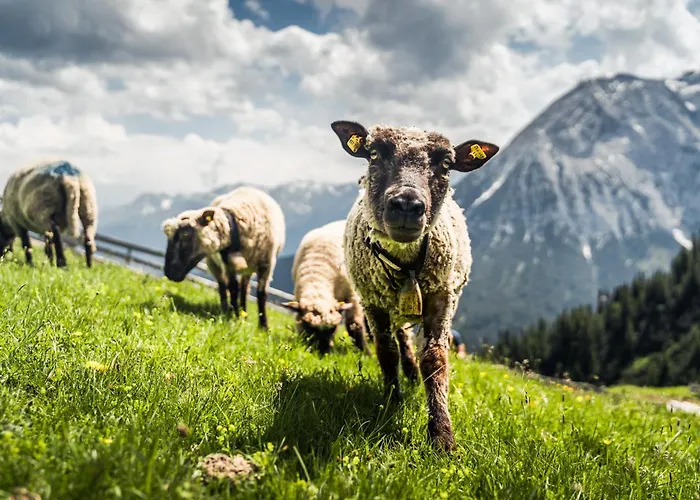 Seefeld Alpin - Rustikales Tiroler Апартаменты Зеефельд в Тироле