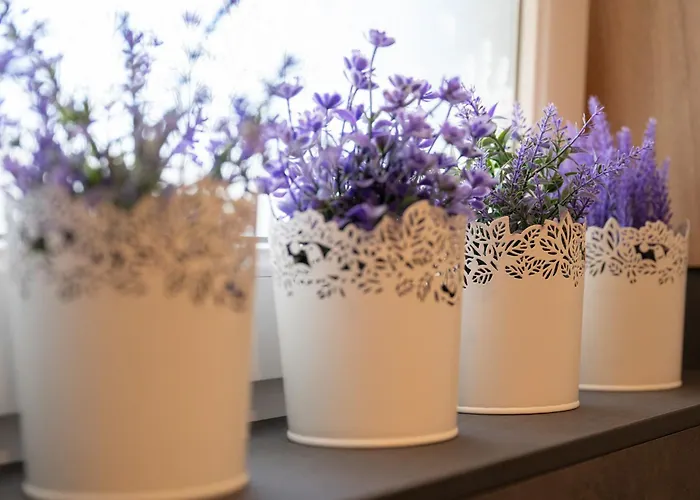 Seefeld Alpin - Rustikales Tiroler Апартаменты Зеефельд в Тироле