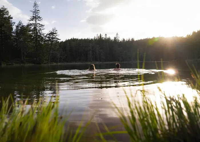 Seefeld Alpin - Rustikales Tiroler Daire *